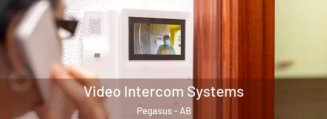  Video Intercom Systems Pegasus - AB