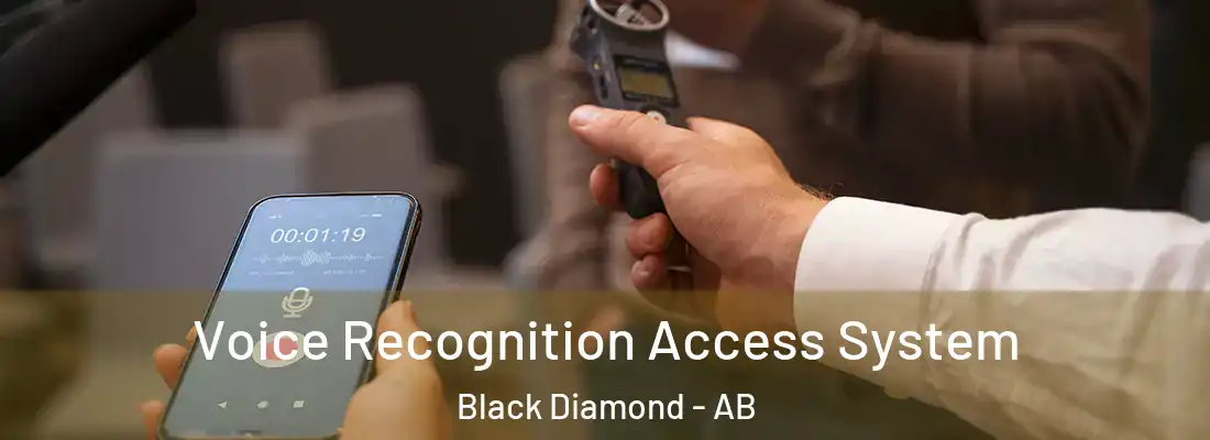  Voice Recognition Access System Black Diamond - AB