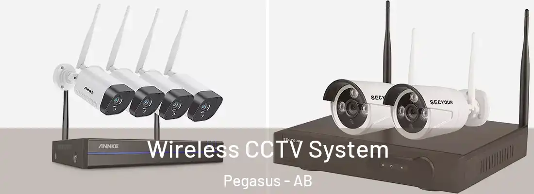  Wireless CCTV System Pegasus - AB
